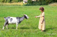 /album/fotogaleria/img-3771-masolata-jpg/